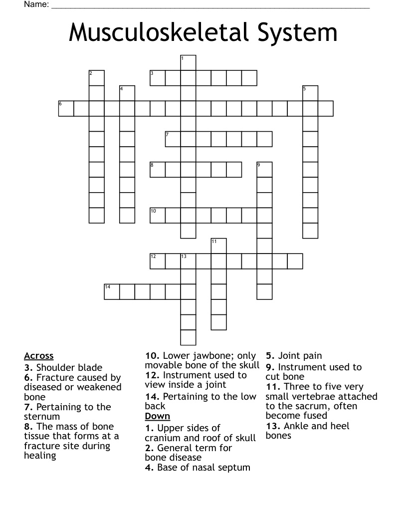 Musculoskeletal System Crossword