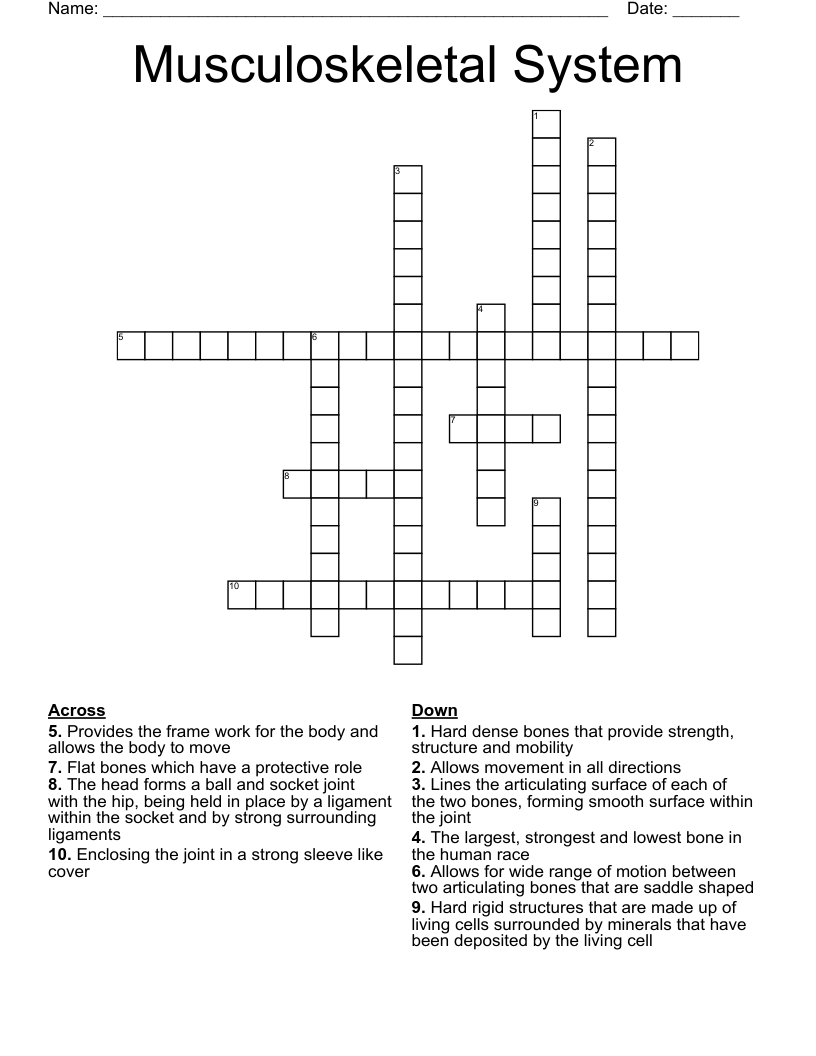 Musculoskeletal System Crossword