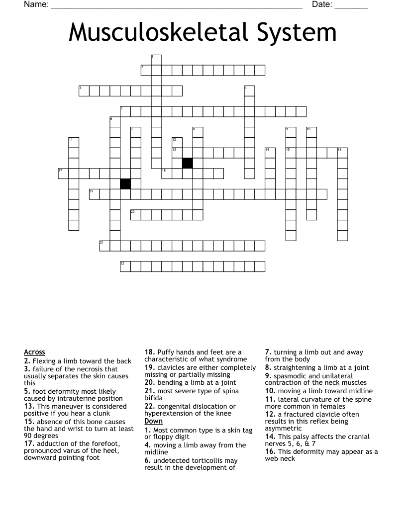 Musculoskeletal System Crossword