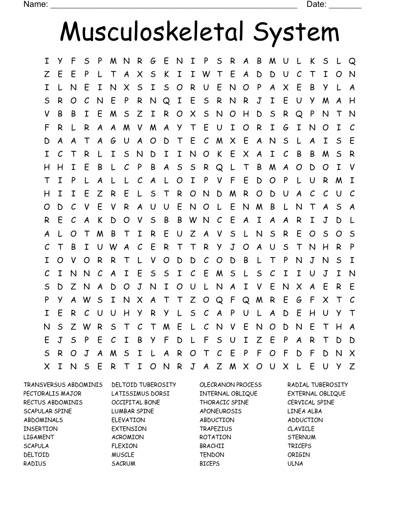 Musculoskeletal System Word Search