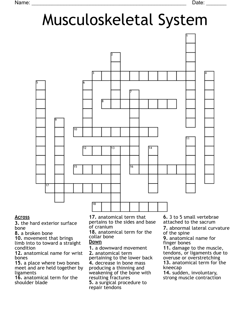 Musculoskeletal System Crossword