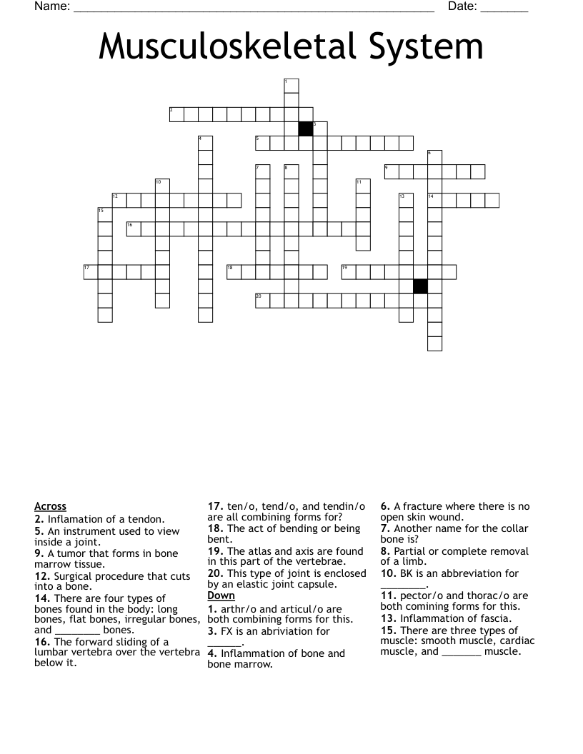 Musculoskeletal System Crossword