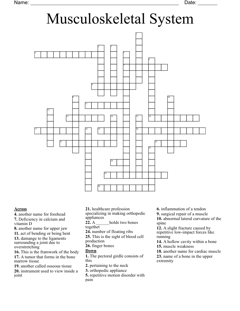 Musculoskeletal System Crossword