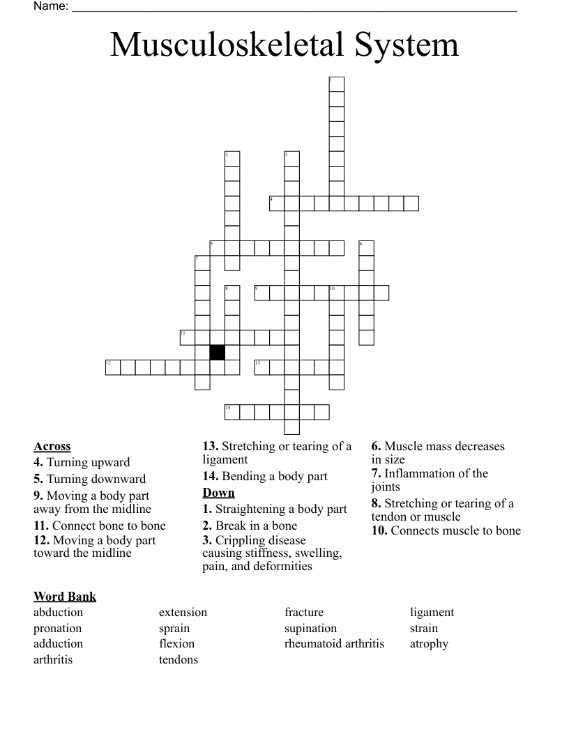 Musculoskeletal System Crossword
