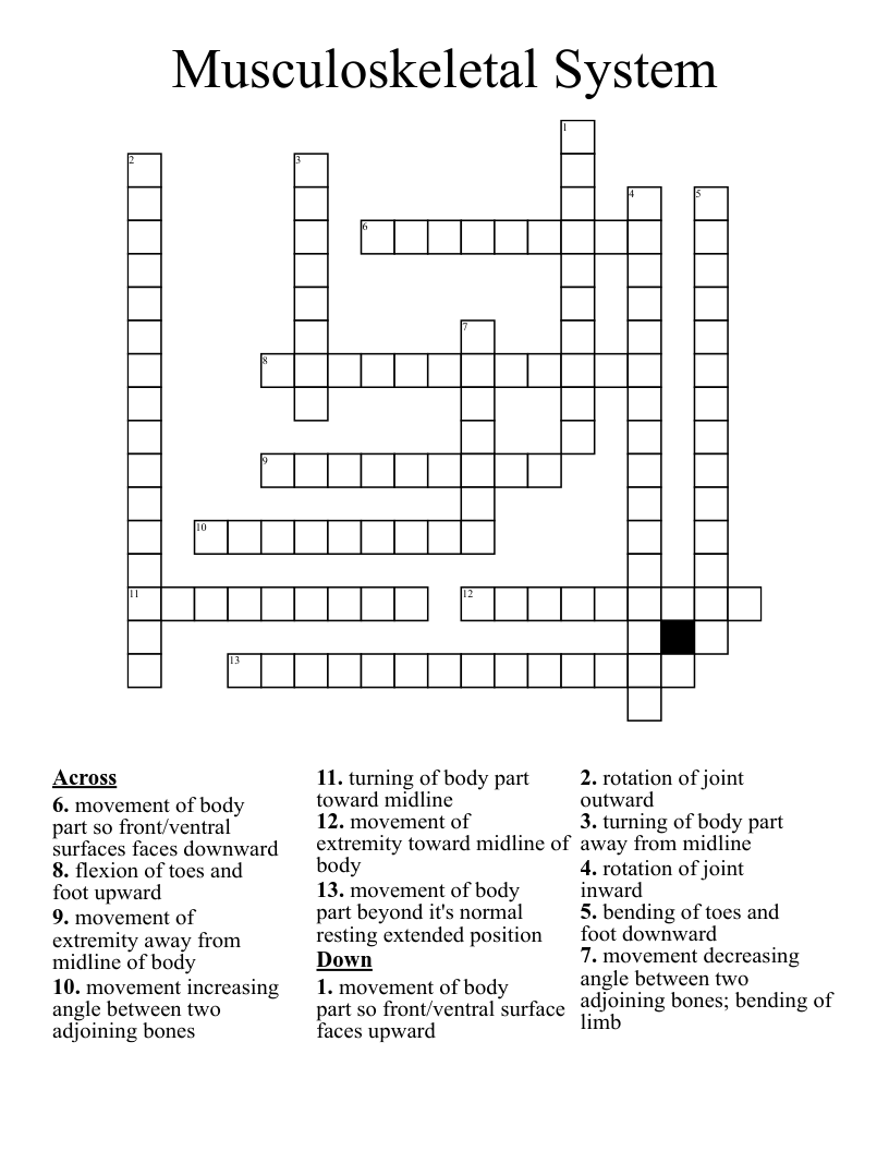 Musculoskeletal System Crossword