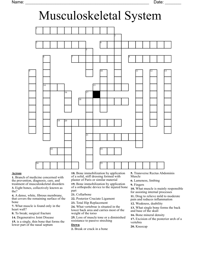 Musculoskeletal System Crossword