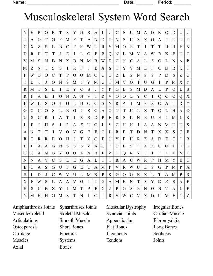 Musculoskeletal System Word Search 