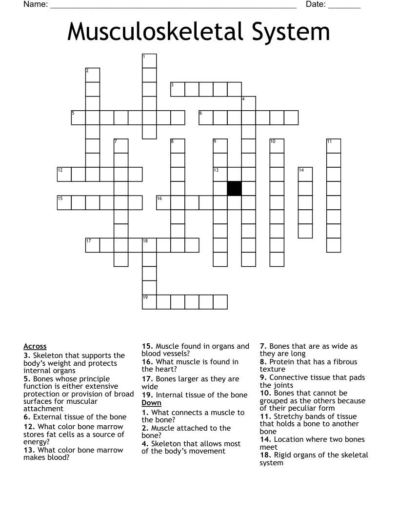 Musculoskeletal System  Crossword