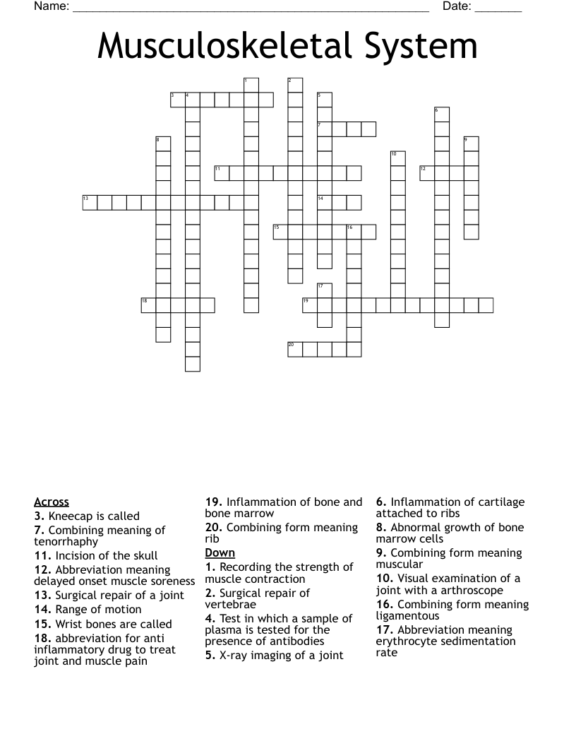 Musculoskeletal System  Crossword