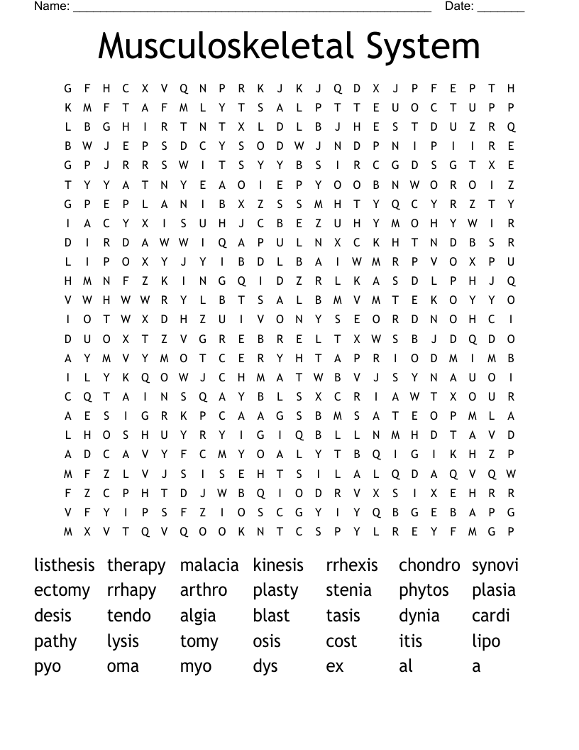 Musculoskeletal System  Word Search