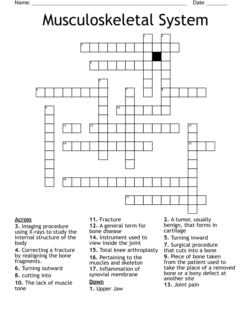 Musculoskeletal  System Crossword
