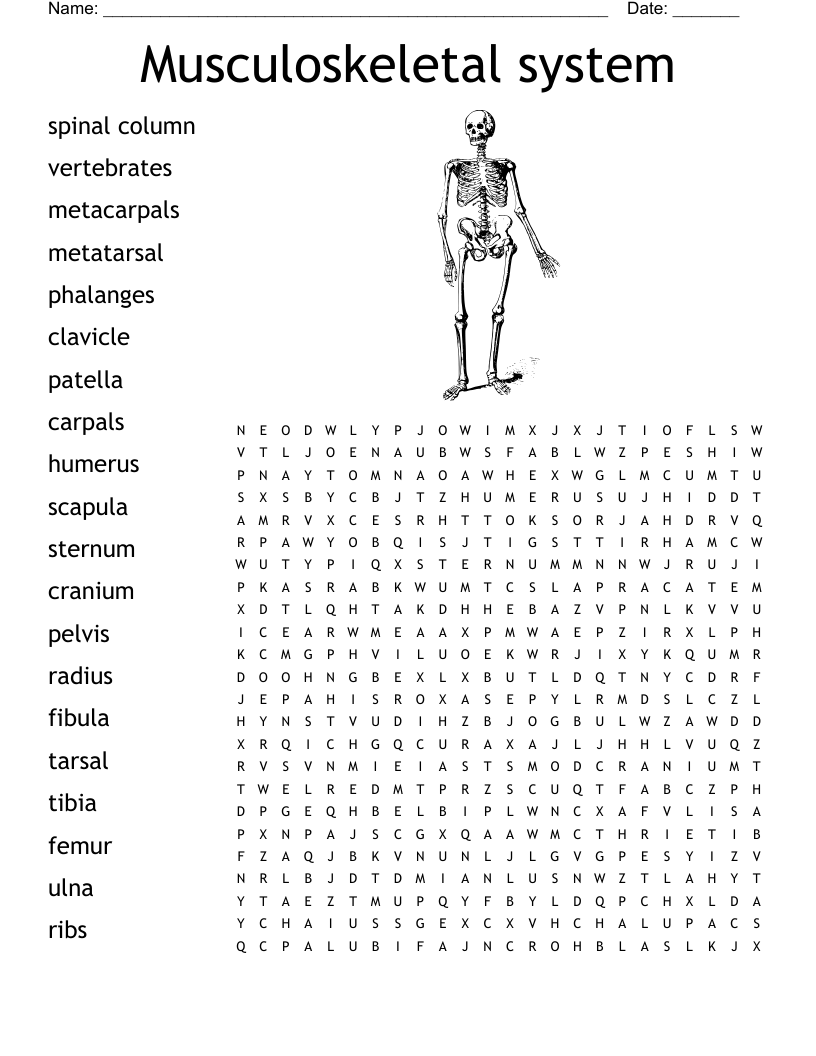 Musculoskeletal system Word Search