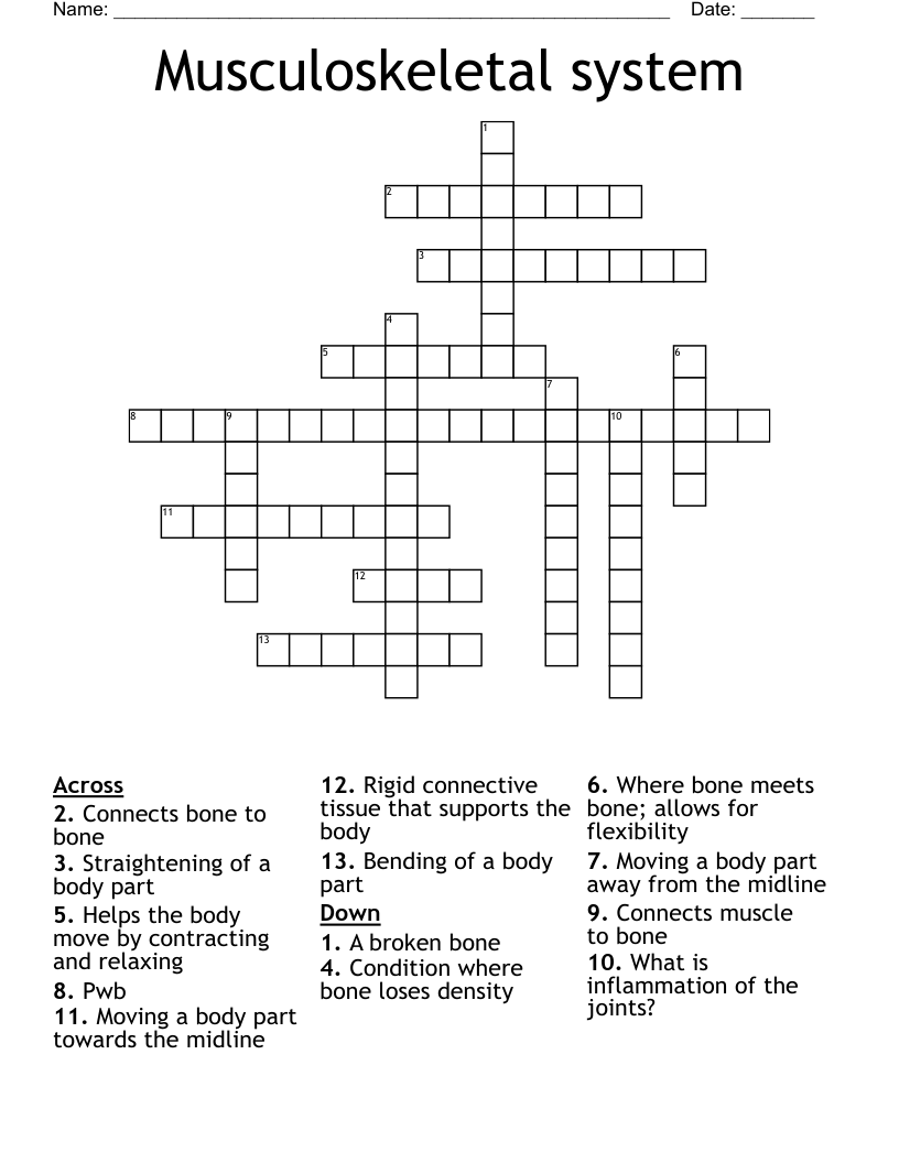 Musculoskeletal system Crossword