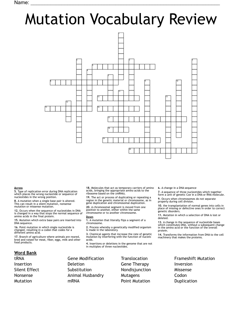 Mutation Vocabulary Review Crossword