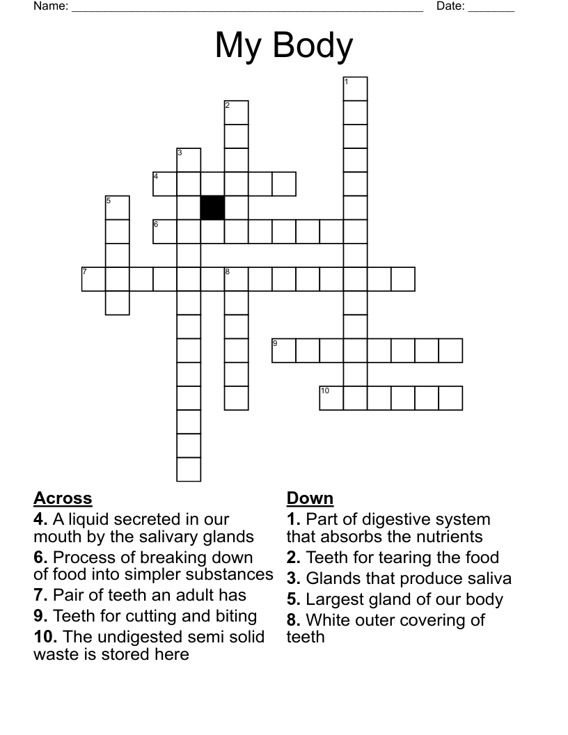 My Body Crossword