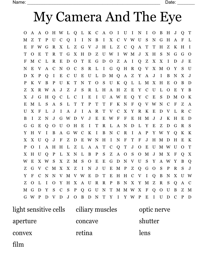 My Camera And The Eye Word Search