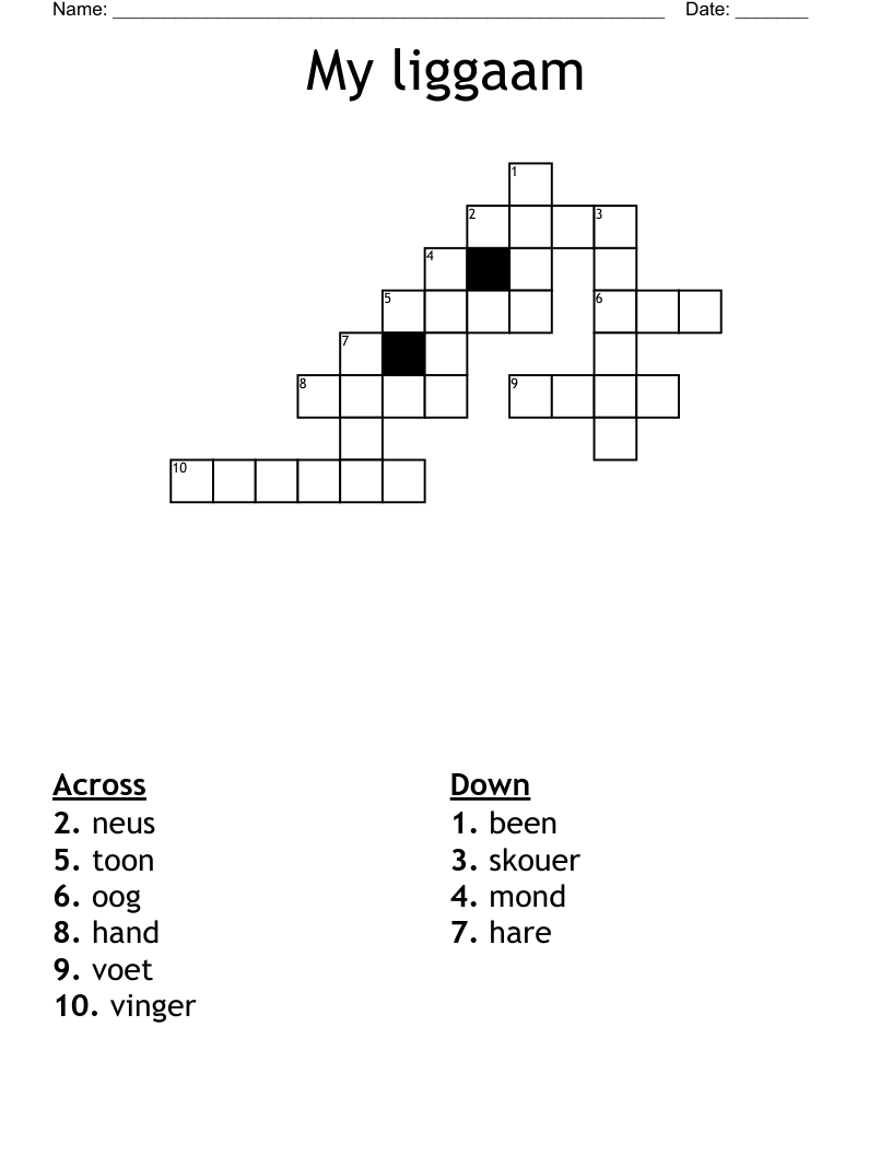 My liggaam Crossword
