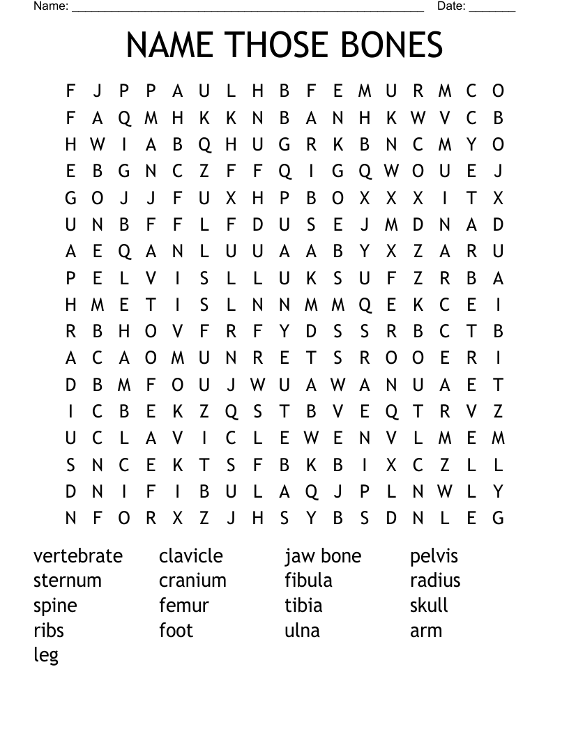 NAME THOSE BONES  Word Search