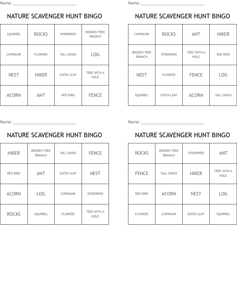 NATURE SCAVENGER HUNT BINGO