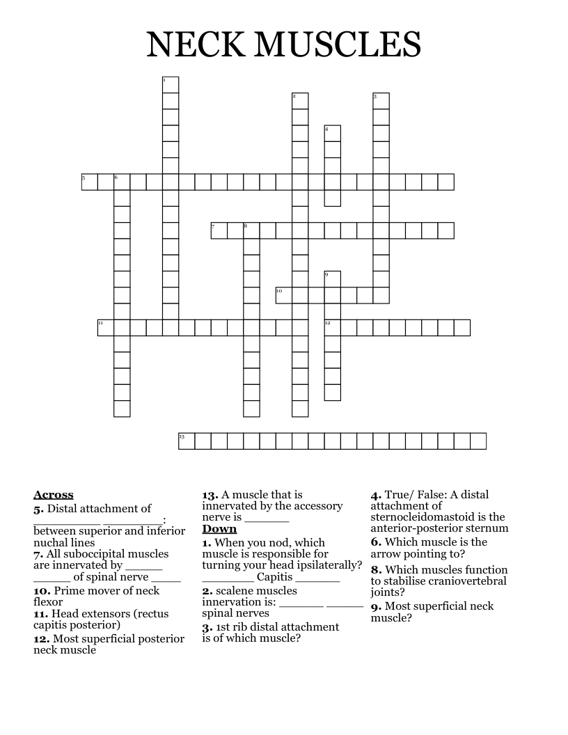 NECK MUSCLES Crossword