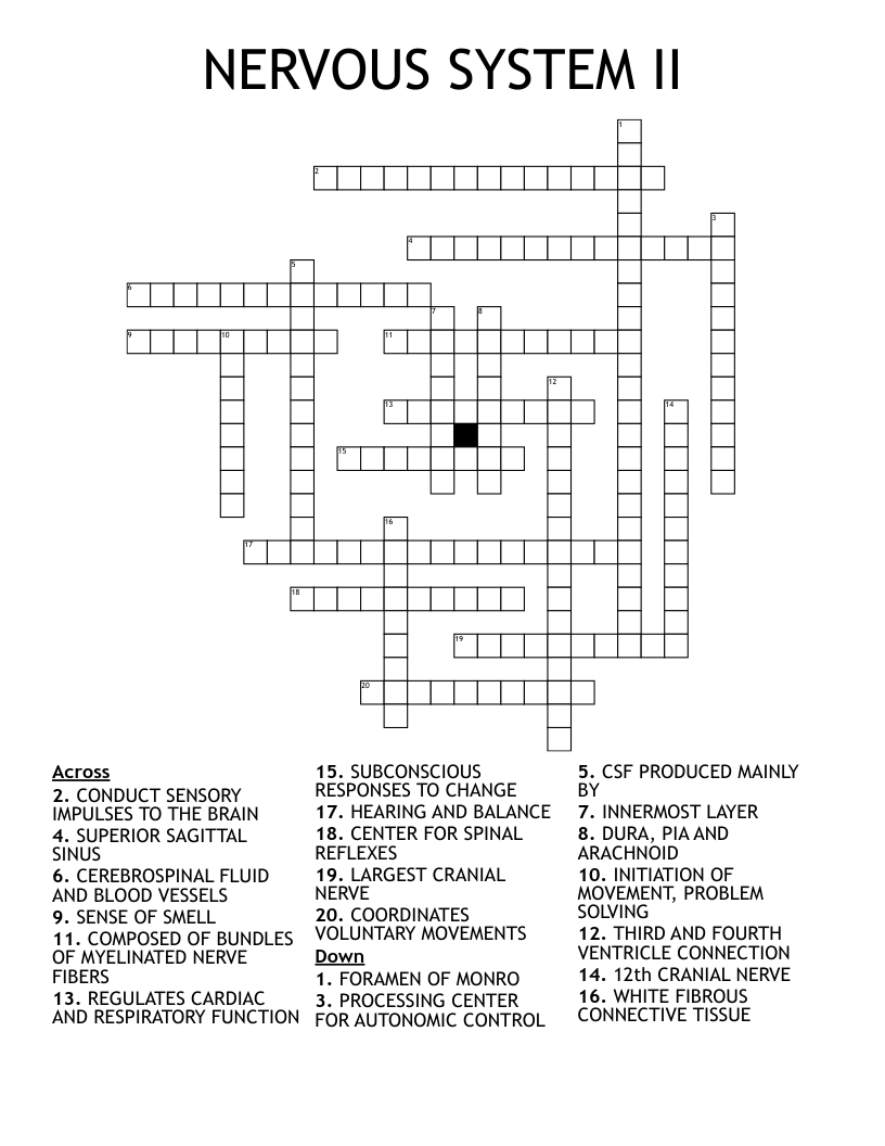 NERVOUS SYSTEM  II Crossword