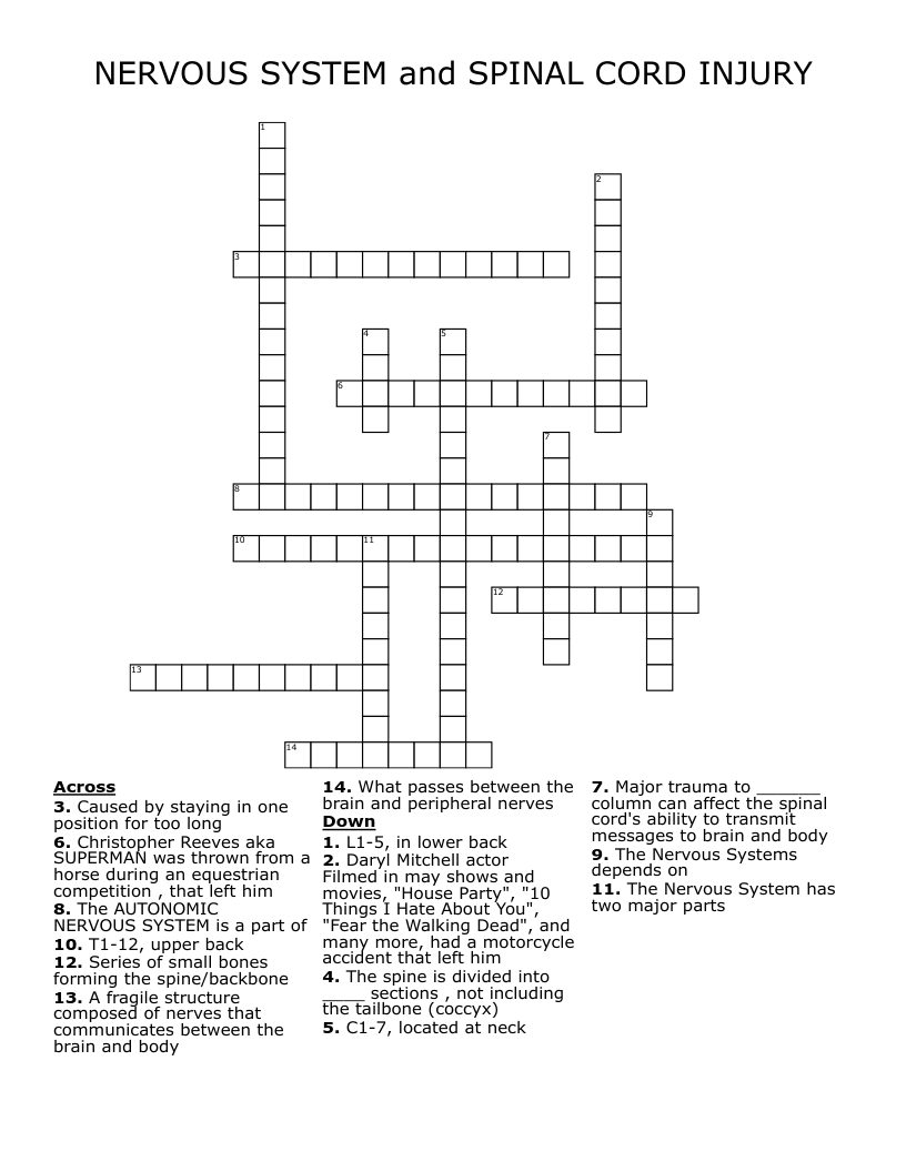 NERVOUS SYSTEM and SPINAL CORD INJURY Crossword