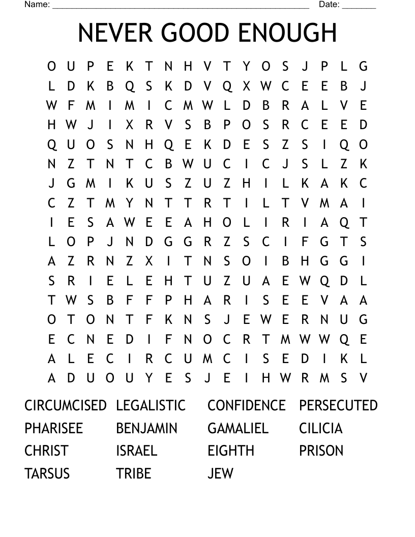 NEVER GOOD ENOUGH Word Search