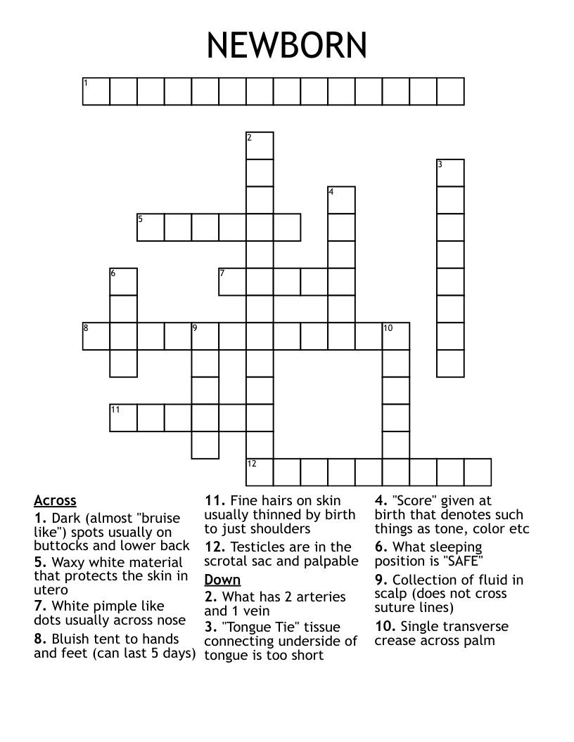 NEWBORN  Crossword