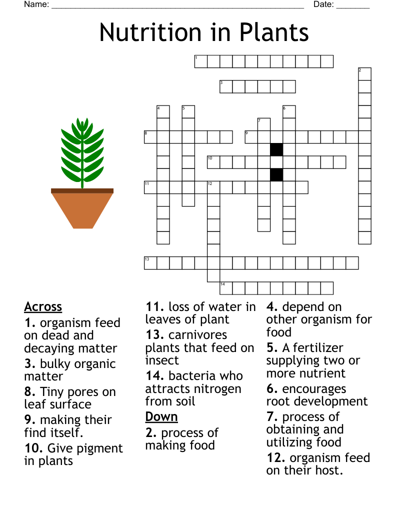 Nutrition in Plants Crossword
