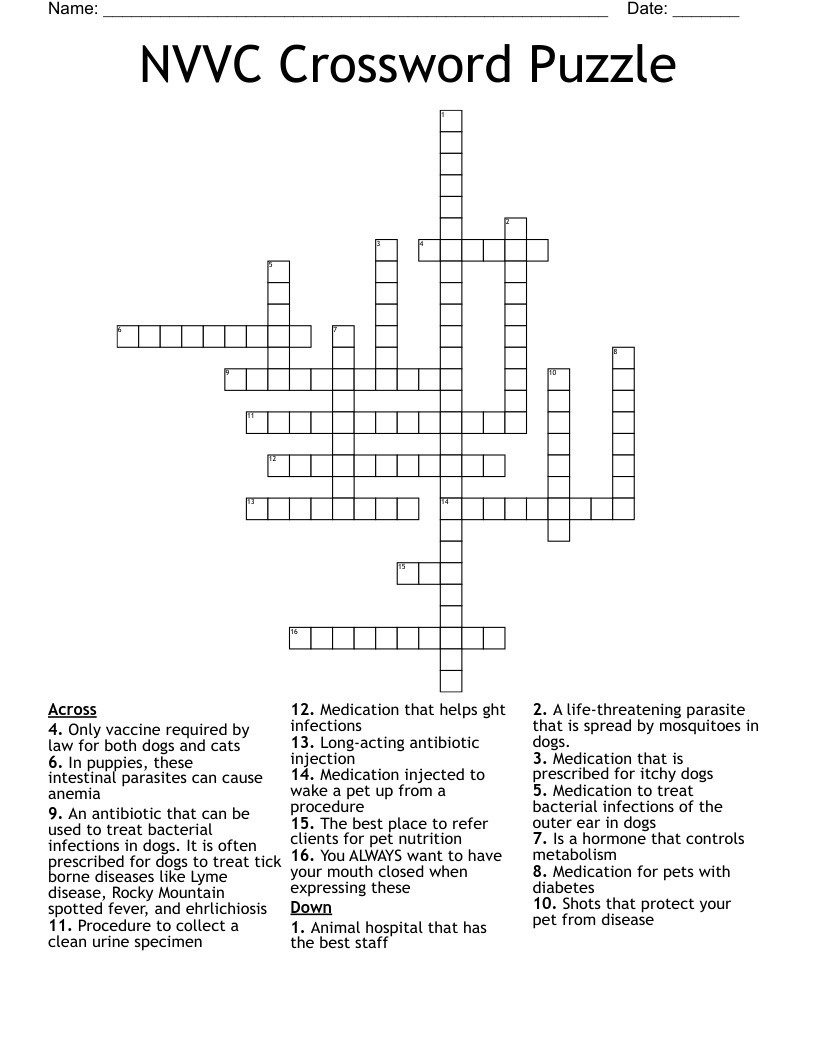 NVVC Crossword Puzzle