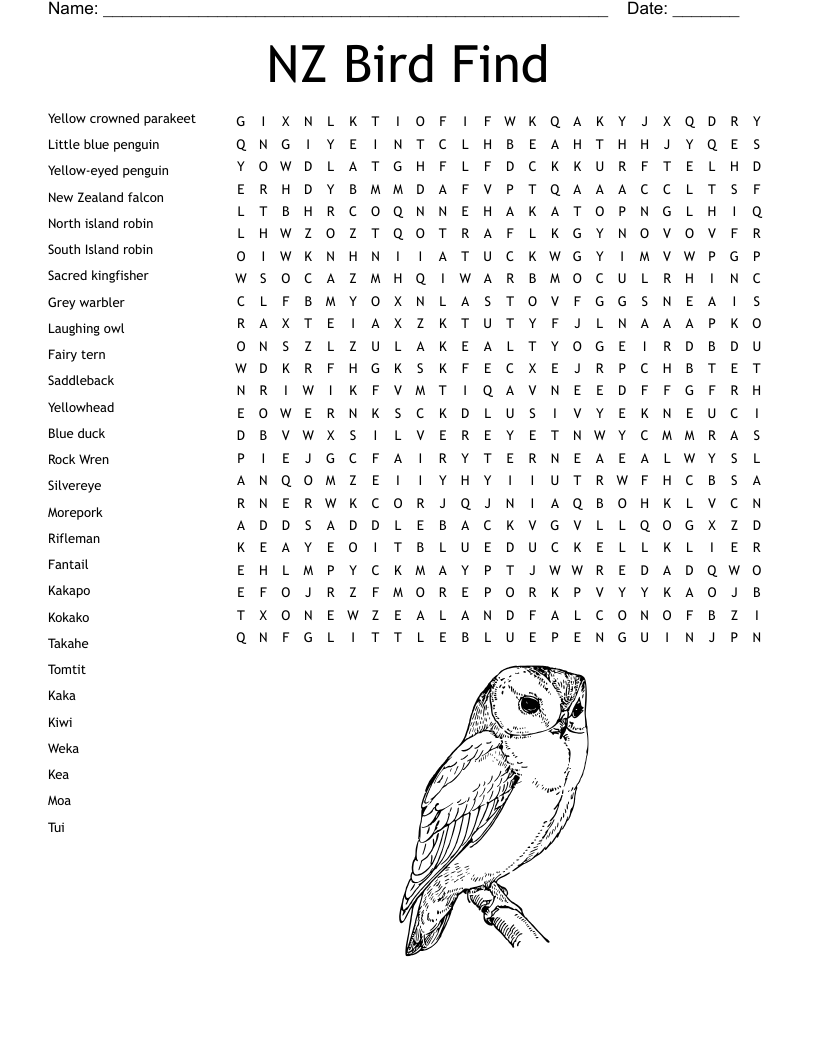 NZ Bird Find Word Search
