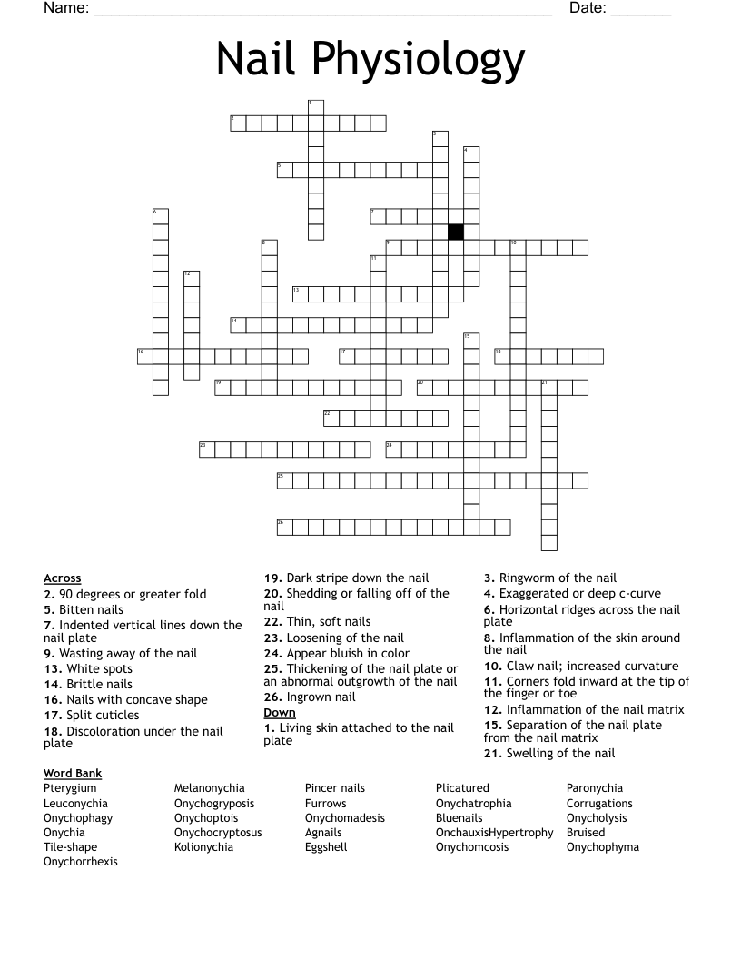 Nail Physiology  Crossword