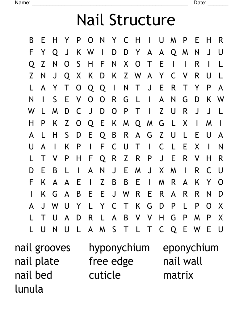 Nail Structure Word Search