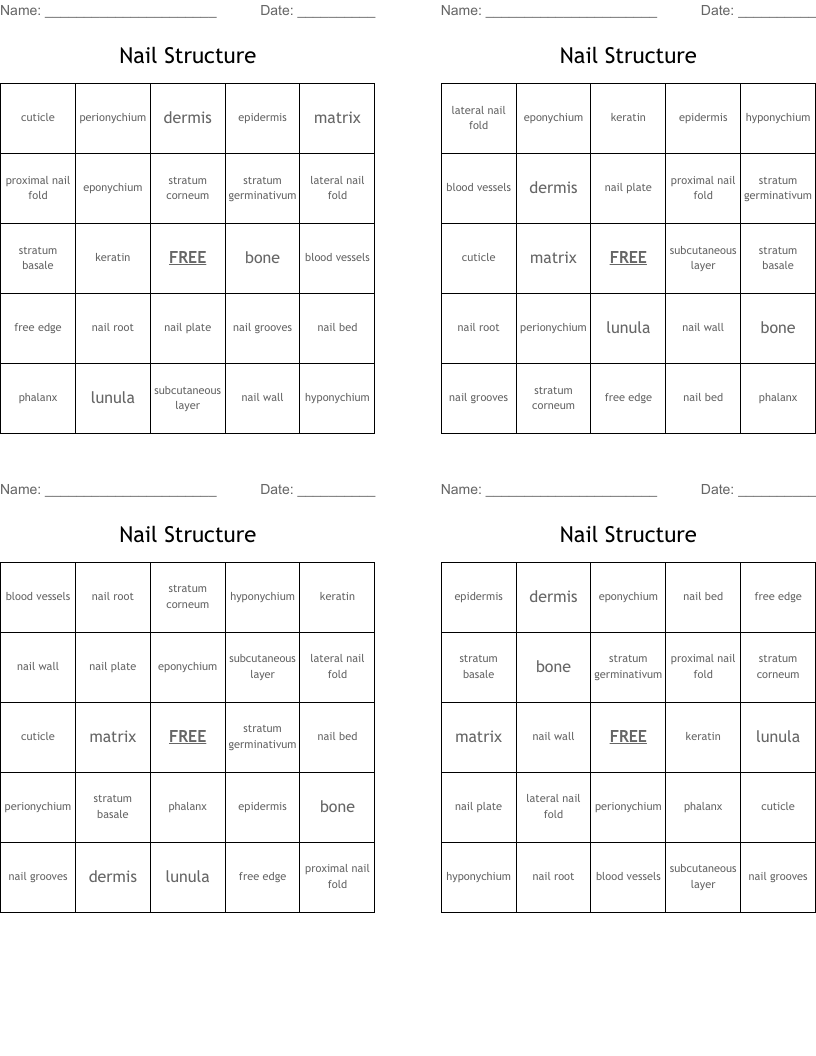 Nail Structure  Bingo Cards