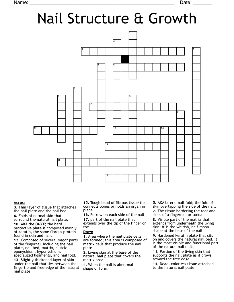 Nail Structure & Growth Crossword