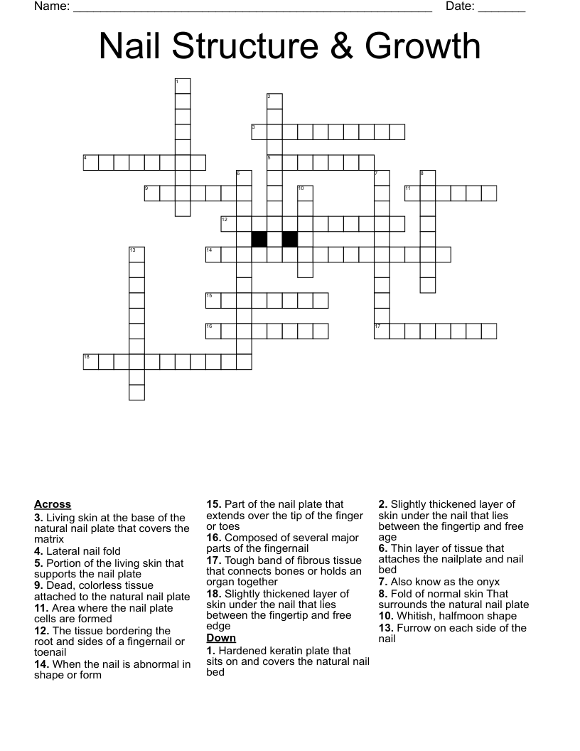 Nail Structure & Growth Crossword