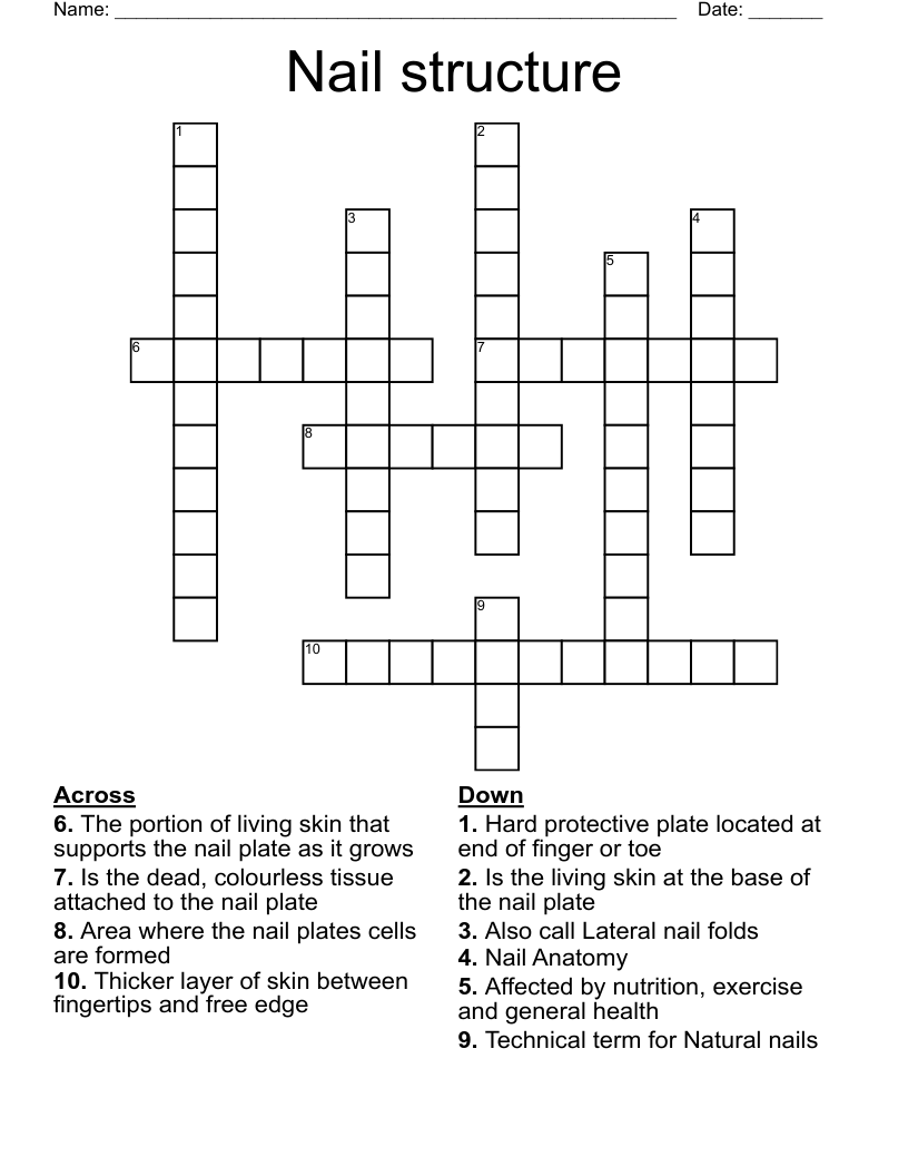 Nail structure Crossword