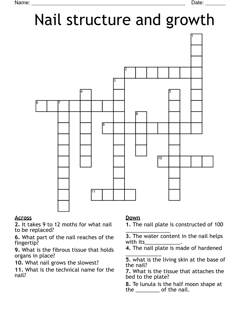 Nail structure and growth Crossword