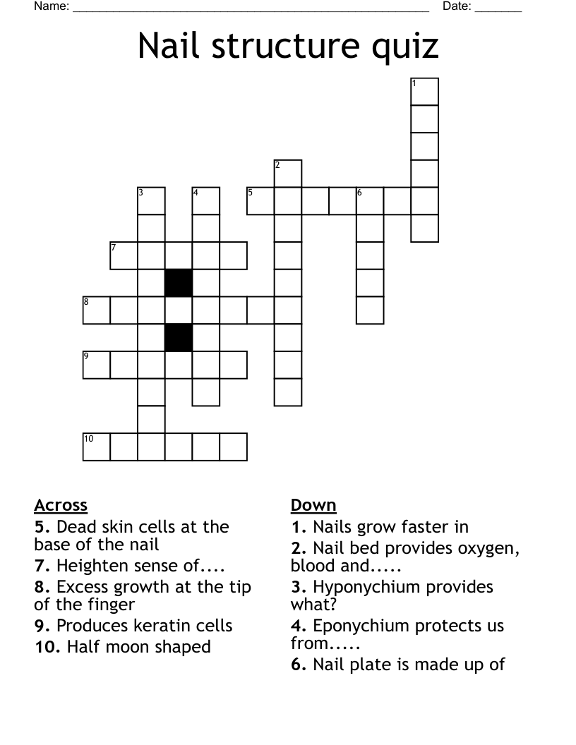 Nail structure quiz Crossword