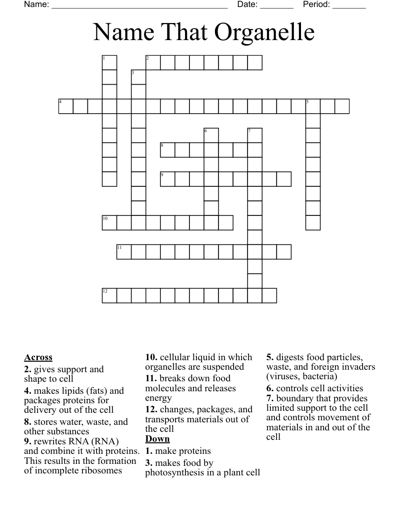 Name That Organelle Crossword
