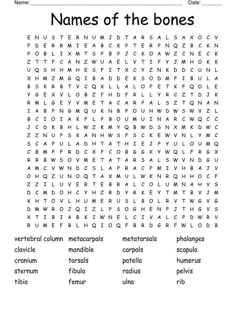 Names of the bones Word Search