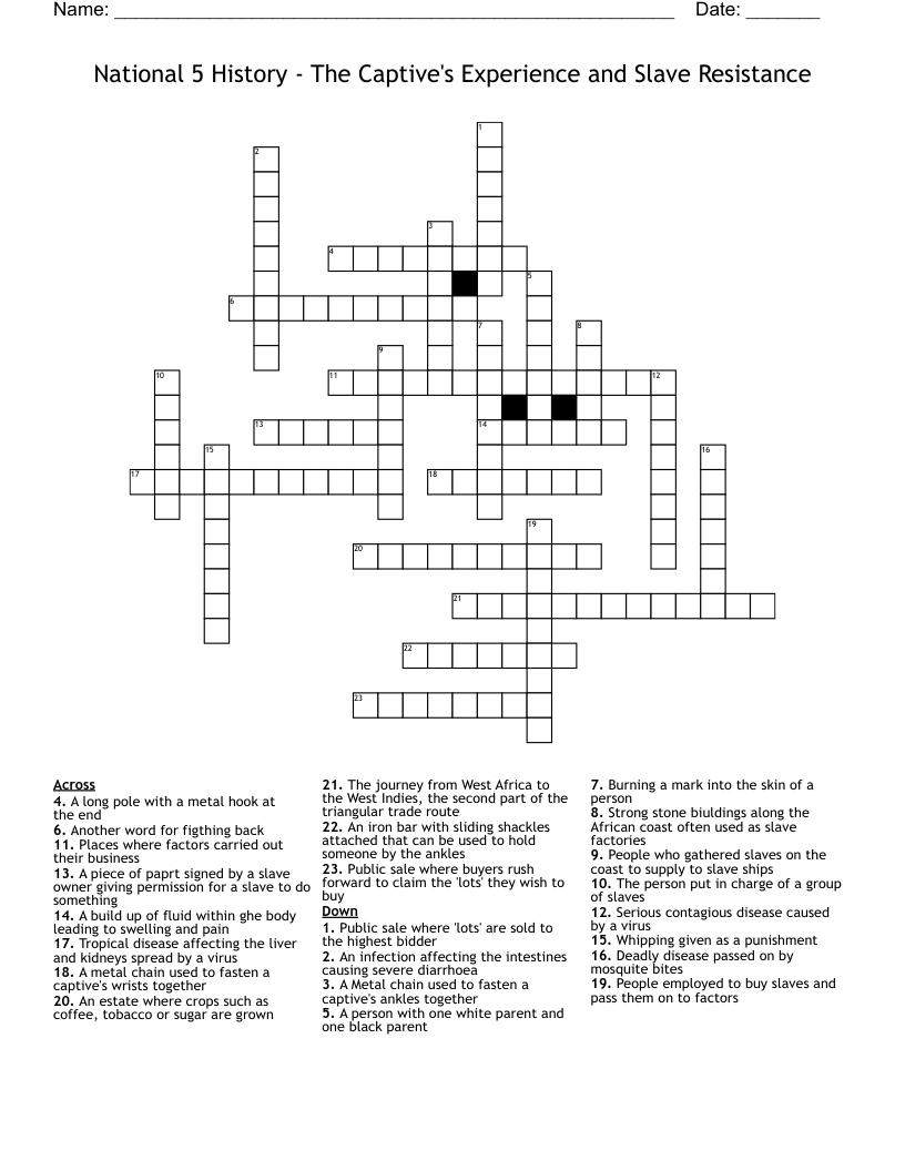 National 5 History - The Captive's Experience and Slave Resistance Crossword