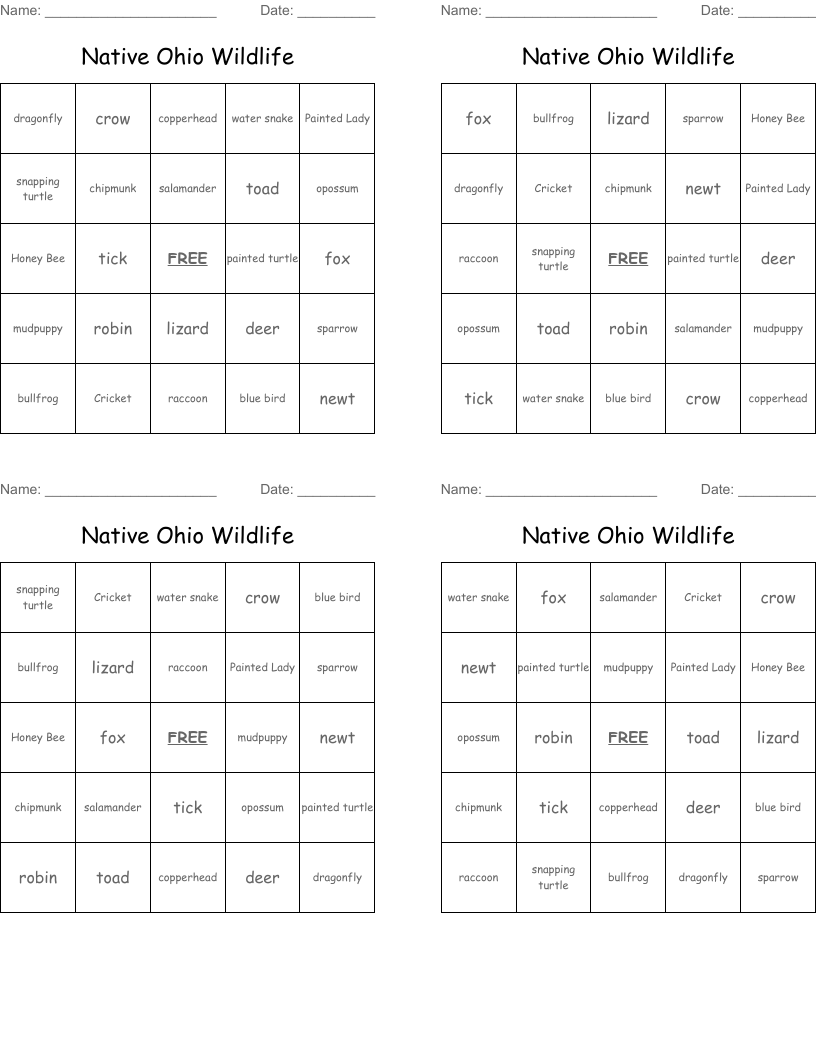 Native Ohio Wildlife Bingo Cards