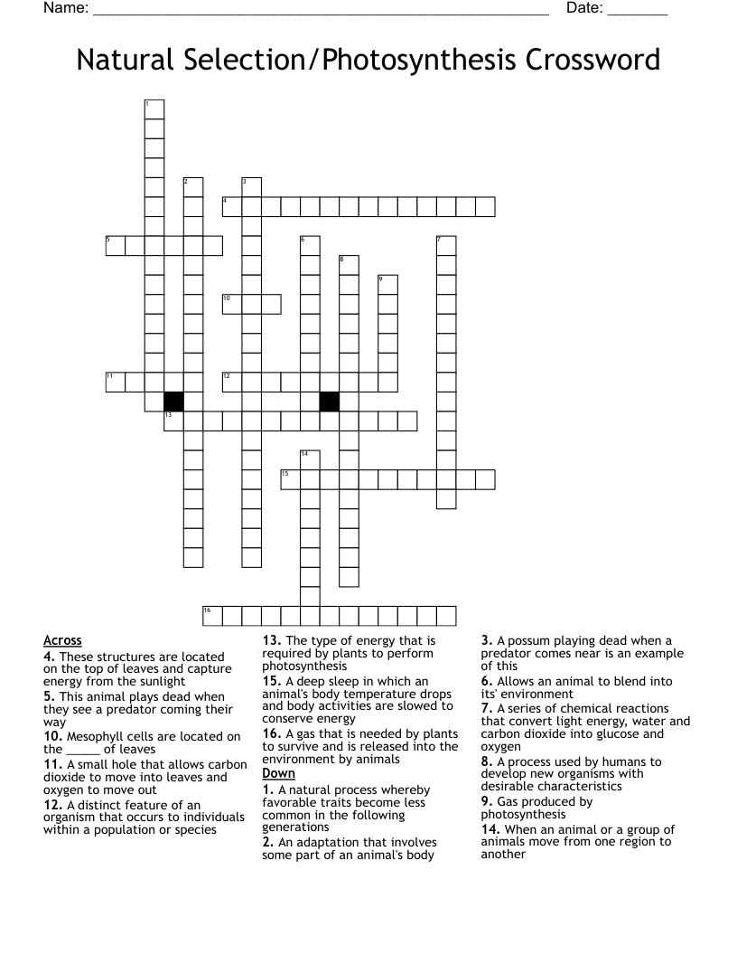 Natural Selection/Photosynthesis Crossword