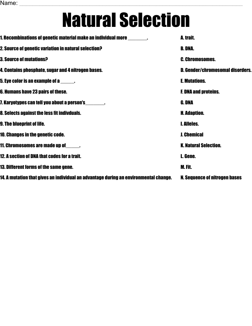 Natural Selection Worksheet