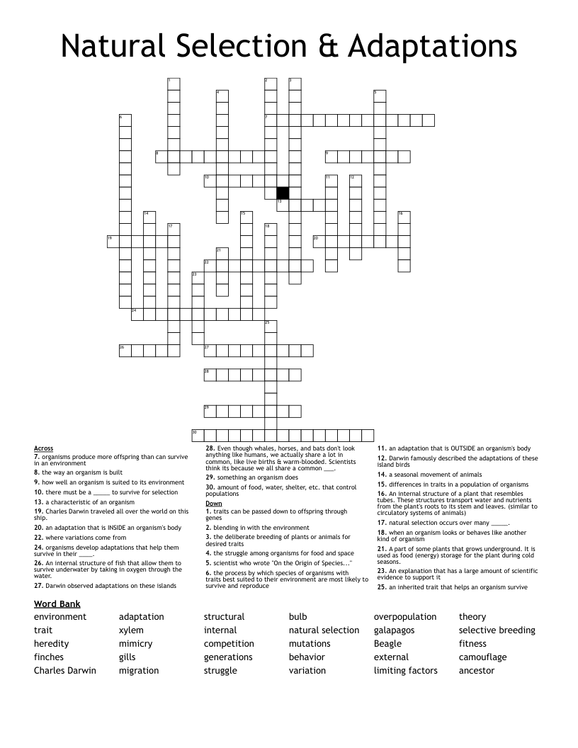 Natural Selection & Adaptations Crossword