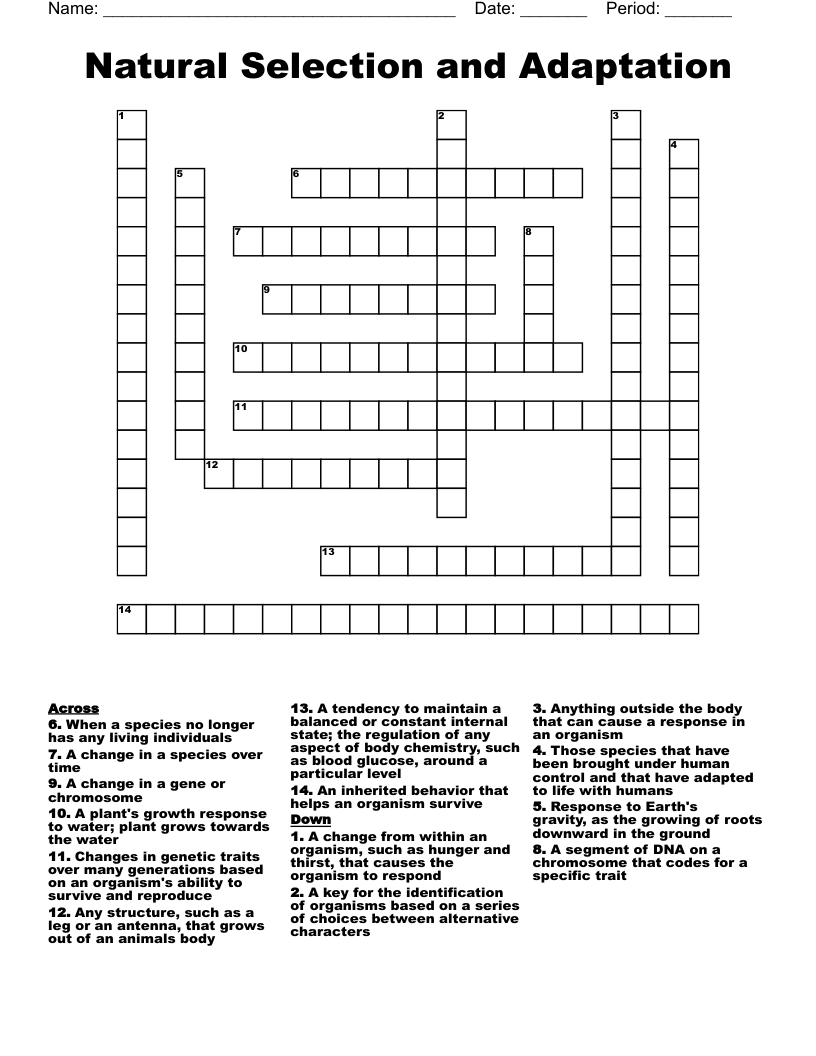 Natural Selection and Adaptation Crossword