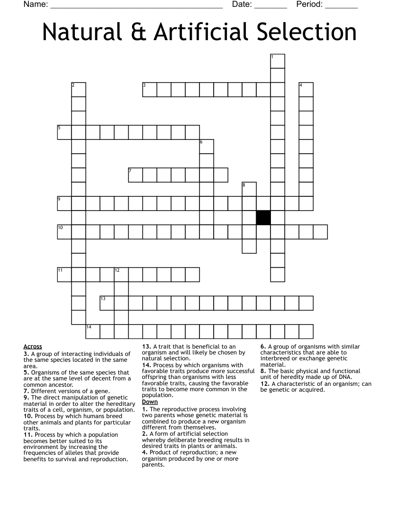 Natural & Artificial Selection Crossword