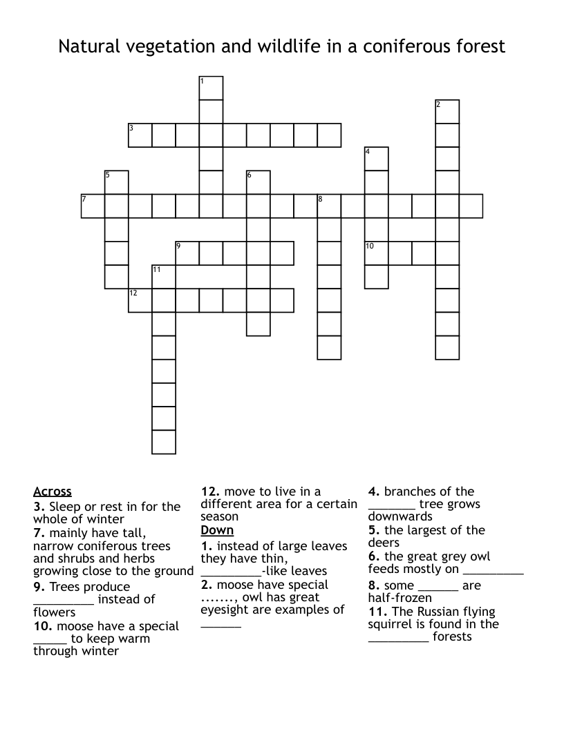 Natural vegetation and wildlife in a coniferous forest Crossword