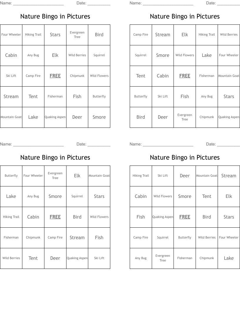Nature Bingo in Pictures